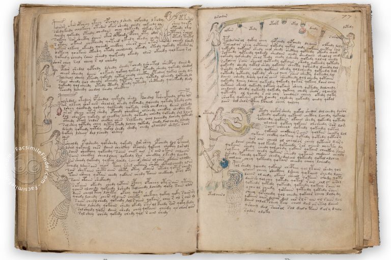 Voynich Manuscript Facsimile, Taking the World by Storm