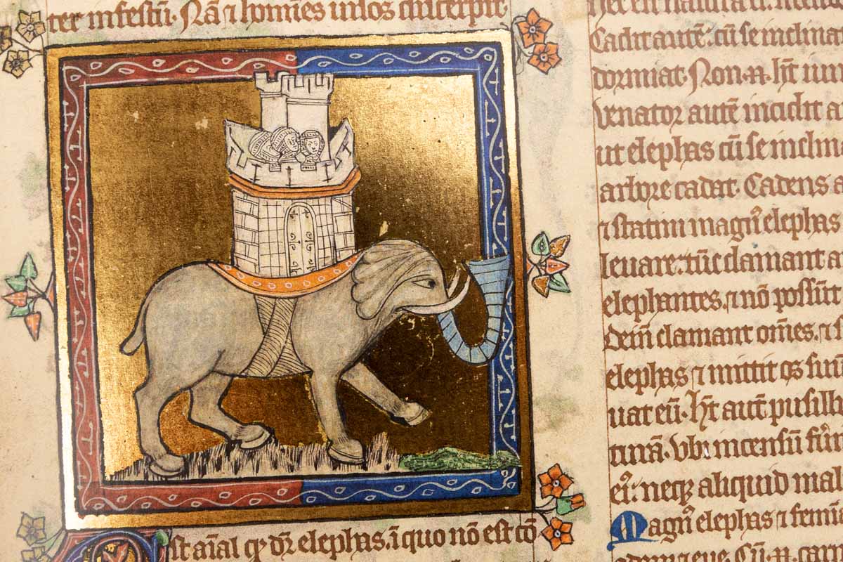 The Peterborough Bestiary: A Medieval Bedtime Story